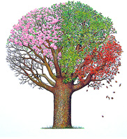 Arbre des quatre saisons